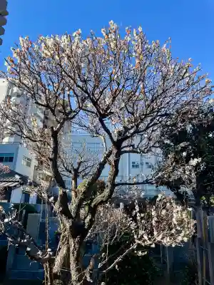瑞泰寺の{uncategorized: "未分類", other: "その他", undefined: "問題あり", building: "その他建物", grave: "お墓", sacred_gate: "鳥居", guardian: "狛犬", statue: "像", buddha: "仏像", history: "歴史", nature: "自然", garden: "庭園", animal: "動物", pagoda: "塔", temizu: "手水舎", mountain_gate: "山門・神門", sanctuary: "本殿・本堂", subordinate: "末社・摂社", art: "芸術", scenery: "景色", jizo: "地蔵", ema: "絵馬", goshuin: "御朱印", omikuji: "おみくじ", items: "授与品その他", amulet: "お守り", goshuincho: "御朱印帳", eats: "食事", festival: "お祭り", votive_dance: "神楽", shichigosan: "七五三参", wedding: "結婚式", experience: "体験その他", initially: "初詣", around: "周辺", anti_infection: "感染症対策"}