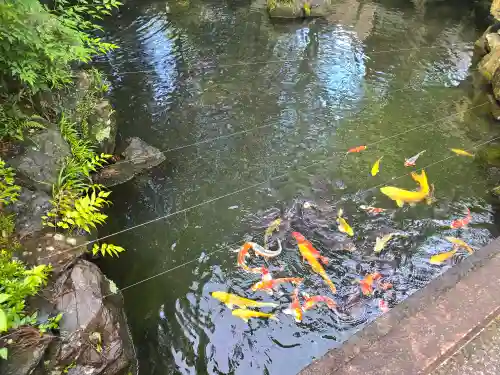 建部大社(滋賀県)