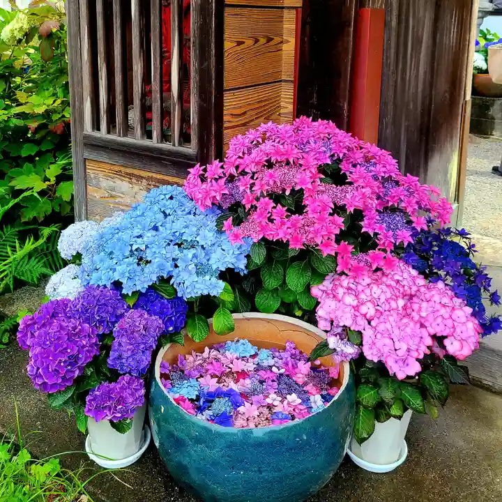 極楽寺(静岡県)