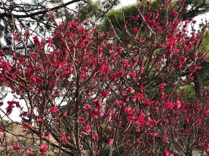 曽根天満宮(兵庫県)