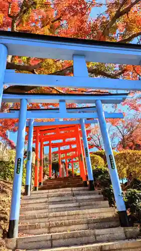 足利織姫神社の鳥居
