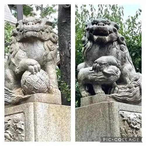 高円寺氷川神社の狛犬