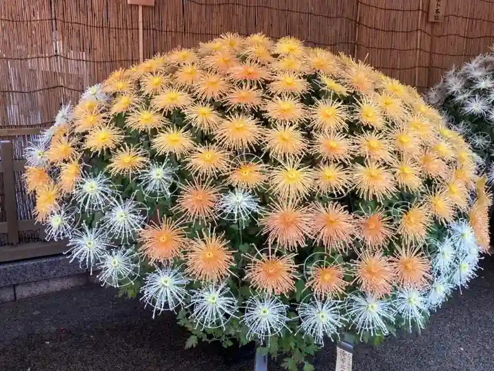 湯島天満宮の庭園