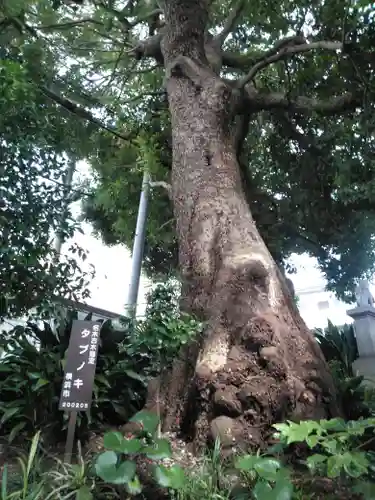曹洞宗清水寺(神奈川県)