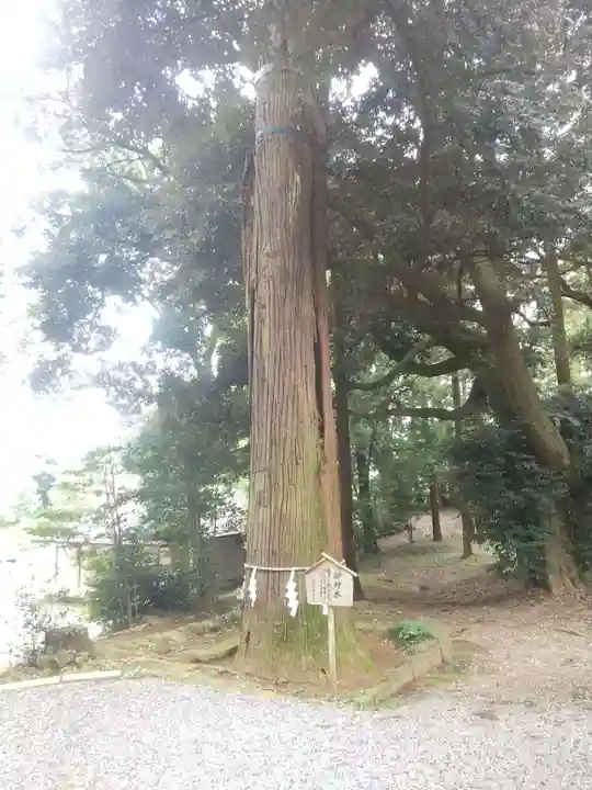 間々田八幡宮(栃木県)