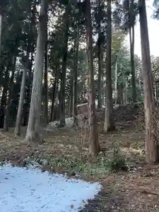 大宮温泉神社(栃木県)(2023年01月31日(火) 10時45分57秒投稿)