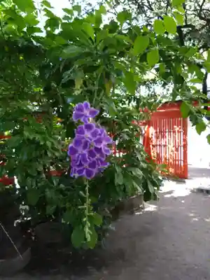 水鏡天満宮の自然