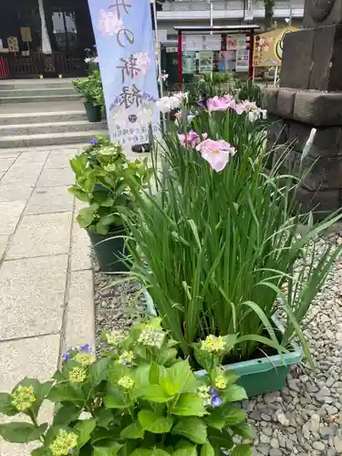 磐井神社(東京都)