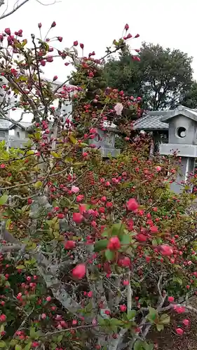 比佐豆知神社(三重県)