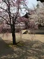 法隆寺 西円堂の{uncategorized: "未分類", other: "その他", undefined: "問題あり", building: "その他建物", grave: "お墓", sacred_gate: "鳥居", guardian: "狛犬", statue: "像", buddha: "仏像", history: "歴史", nature: "自然", garden: "庭園", animal: "動物", pagoda: "塔", temizu: "手水舎", mountain_gate: "山門・神門", sanctuary: "本殿・本堂", subordinate: "末社・摂社", art: "芸術", scenery: "景色", jizo: "地蔵", ema: "絵馬", goshuin: "御朱印", omikuji: "おみくじ", items: "授与品その他", amulet: "お守り", goshuincho: "御朱印帳", eats: "食事", festival: "お祭り", votive_dance: "神楽", shichigosan: "七五三参", wedding: "結婚式", experience: "体験その他", initially: "初詣", around: "周辺", anti_infection: "感染症対策"}