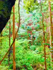 白瀧神社(茨城県)