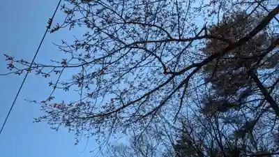 豊受神社の自然