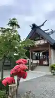 函館黒住神社(北海道)