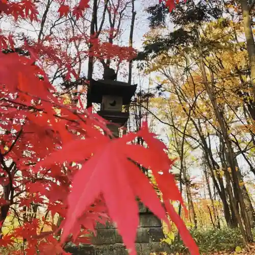 上川神社の自然