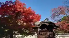 妙顯寺（妙顕寺）(京都府)