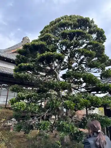 明白院(東京都)