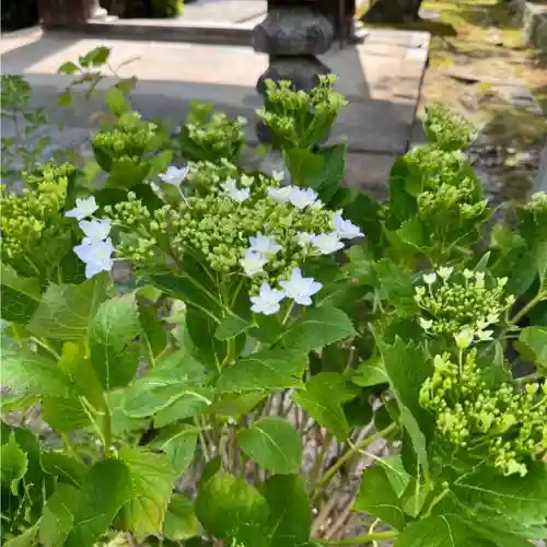伊勢の国 四天王寺(三重県)