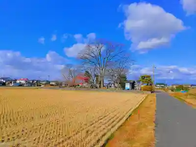 立山社・白山社(百町)の自然