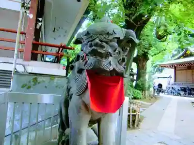 王子稲荷神社の狛犬