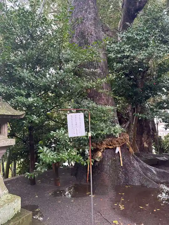湯江温泉神社(長崎県)