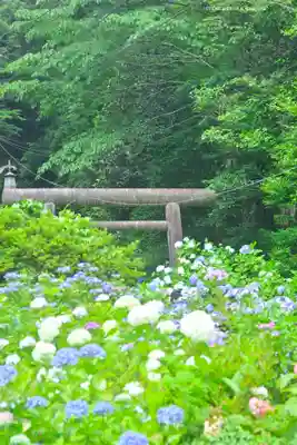 太平山神社の自然