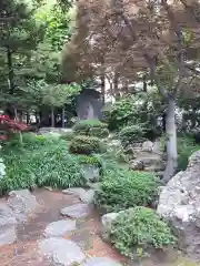 新善光寺の庭園