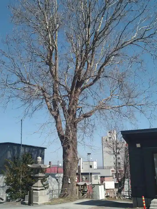 龍宮神社(北海道)