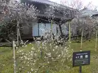 延慶寺(熊本県)