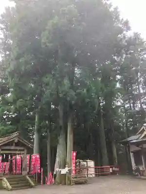 羽黒山神社のその他建物
