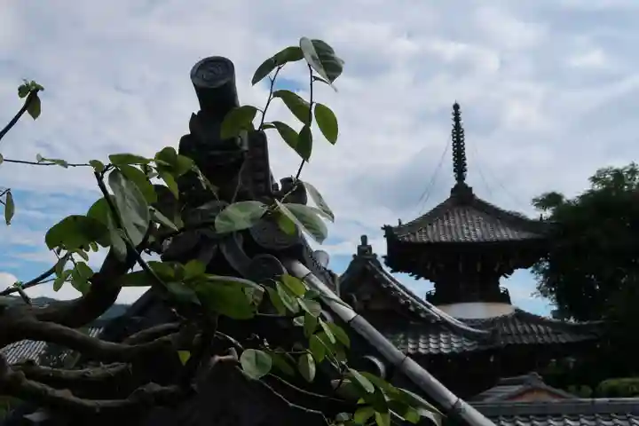 穴太寺のその他建物