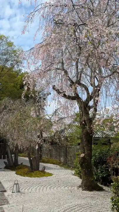 圓光寺(京都府)