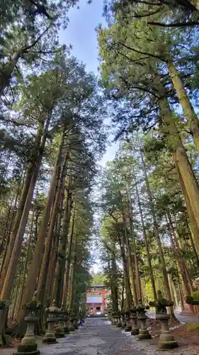 北口本宮冨士浅間神社の自然