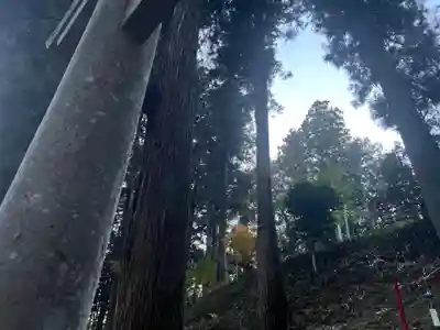 大宮温泉神社(栃木県)