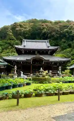 三室戸寺(京都府)