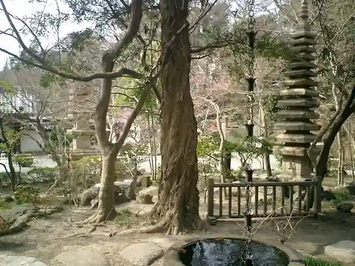 覚園寺の庭園