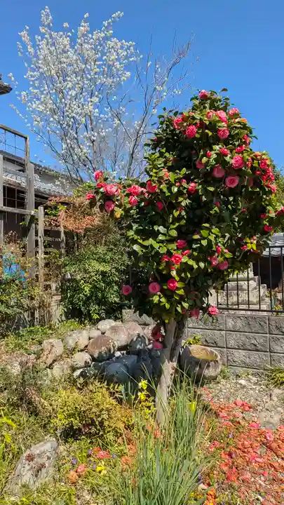 大乗寺(滋賀県)