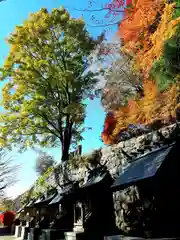 秋葉山本宮 秋葉神社 上社の末社