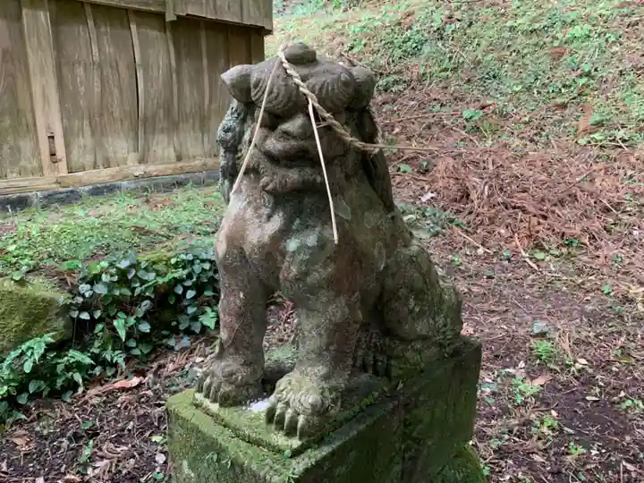 鶴ヶ峰八幡神社の狛犬