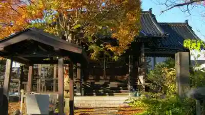 鏡日吉神社の本殿
