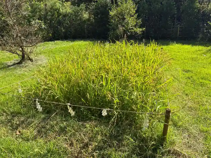 志筑神社(兵庫県)
