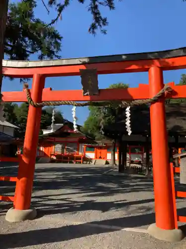 吉田神社の鳥居