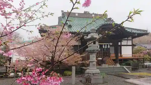 法華寺の本殿・本堂