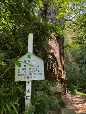 陸奥総社宮の{uncategorized: "未分類", other: "その他", undefined: "問題あり", building: "その他建物", grave: "お墓", sacred_gate: "鳥居", guardian: "狛犬", statue: "像", buddha: "仏像", history: "歴史", nature: "自然", garden: "庭園", animal: "動物", pagoda: "塔", temizu: "手水舎", mountain_gate: "山門・神門", sanctuary: "本殿・本堂", subordinate: "末社・摂社", art: "芸術", scenery: "景色", jizo: "地蔵", ema: "絵馬", goshuin: "御朱印", omikuji: "おみくじ", items: "授与品その他", amulet: "お守り", goshuincho: "御朱印帳", eats: "食事", festival: "お祭り", votive_dance: "神楽", shichigosan: "七五三参", wedding: "結婚式", experience: "体験その他", initially: "初詣", around: "周辺", anti_infection: "感染症対策"}