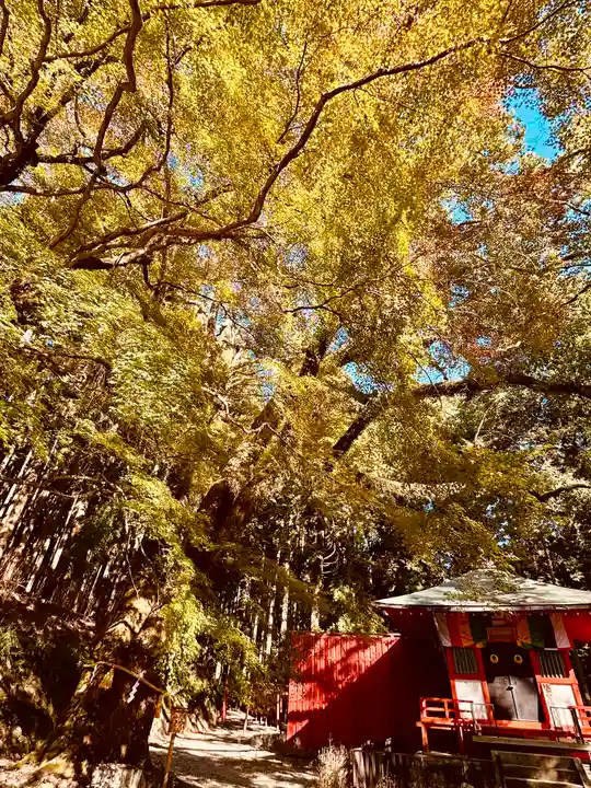 談山神社(奈良県)