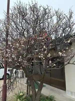 筒井八幡神社の{uncategorized: "未分類", other: "その他", undefined: "問題あり", building: "その他建物", grave: "お墓", sacred_gate: "鳥居", guardian: "狛犬", statue: "像", buddha: "仏像", history: "歴史", nature: "自然", garden: "庭園", animal: "動物", pagoda: "塔", temizu: "手水舎", mountain_gate: "山門・神門", sanctuary: "本殿・本堂", subordinate: "末社・摂社", art: "芸術", scenery: "景色", jizo: "地蔵", ema: "絵馬", goshuin: "御朱印", omikuji: "おみくじ", items: "授与品その他", amulet: "お守り", goshuincho: "御朱印帳", eats: "食事", festival: "お祭り", votive_dance: "神楽", shichigosan: "七五三参", wedding: "結婚式", experience: "体験その他", initially: "初詣", around: "周辺", anti_infection: "感染症対策"}