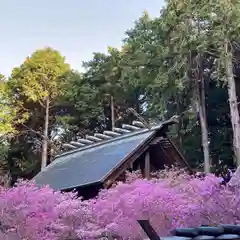 伊奈冨神社の建物その他