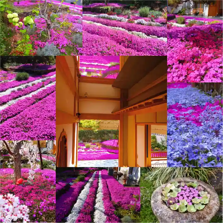 寿量山 速成寺(奈良県)