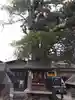 櫟谷七野神社(京都府)