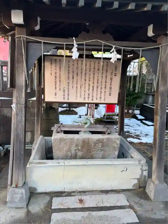戸隠神社(新潟県)