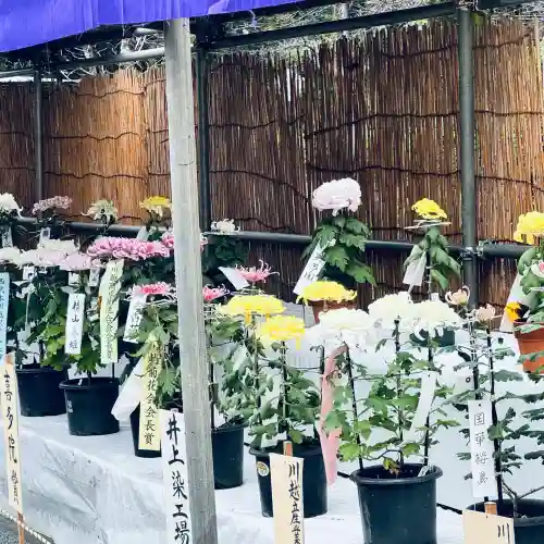 喜多院(埼玉県)